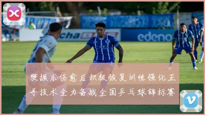 樊振东伤愈后积极恢复训练强化正手技术全力备战全国乒乓球锦标赛
