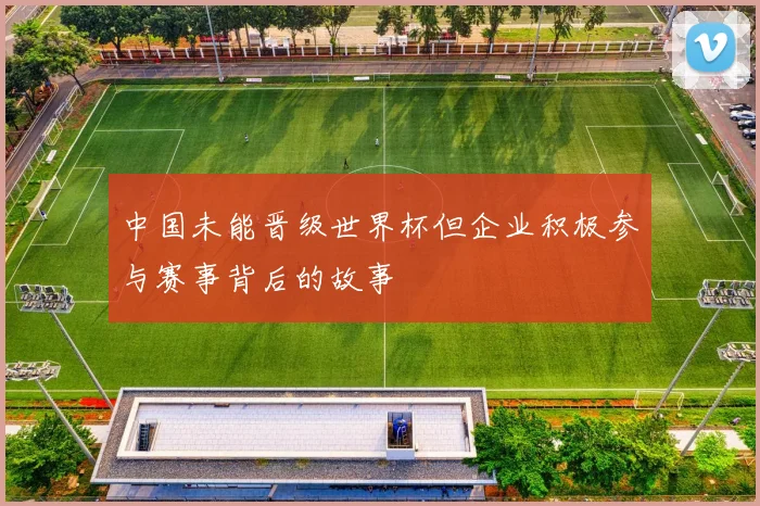 中国未能晋级世界杯但企业积极参与赛事背后的故事